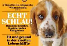 美国《读者文摘》：Reader’s Digest 2019全年 英文原版 PDF