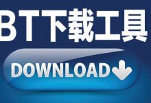为何国内 BT 环境如此恶劣?下载速度如龟速?原来是……