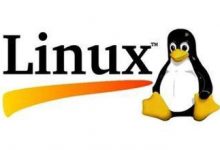 linux下如何挂载数据盘 教程