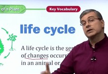 没了外教课，火爆油管的科学精讲课你必须收藏American Textbook Reading