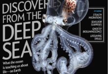 科学美国人 Scientific American 2022年8月 高清 PDF版