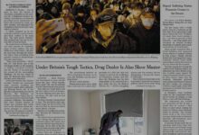 纽约时报 The New York Times -2022-11-28 pdf