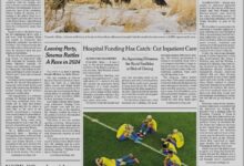 纽约时报 The New York Times -2022-12-10 pdf