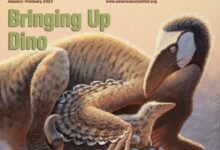 新科学人杂志-2023-06-24 New Scientist US