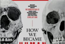 Newsweek新闻周刊：Newsweek-2022-12-30 pdf