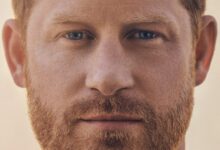 原版书推荐 Prince Harry – Spare  等四册