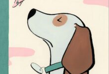 纽约客周刊 The New Yorker 2023-02-13 pdf