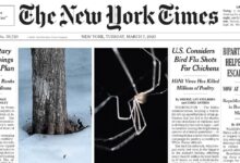 纽约时报 2023-03-07 The New York Times- pdf