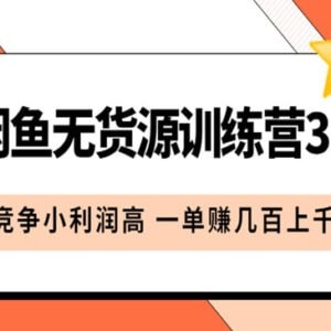 闲鱼无货源训练营3.0 找竞争小利润高的蓝海产品