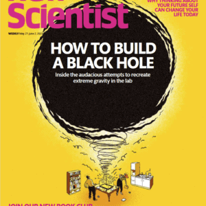 新科学人 2024合集 New Scientist