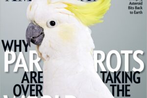 科学美国人-2023-7/8 Scientific American PDF