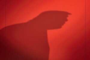 卫报-2023-11-17-The Guardian