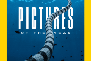 美国国家地理杂志-2023-12 National Geographic pdf