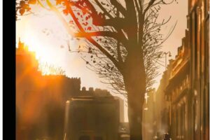 纽约客-2024-01-22 The New Yorker