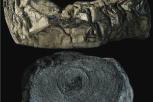 彭博商业周刊-2024-02-12 Bloomberg-businessweek