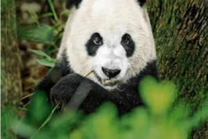 财新周刊-2024-10th Caixin Weekly