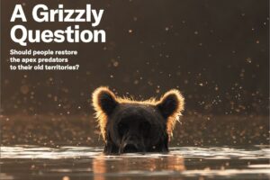 科学美国人-2024-06 Scientific American