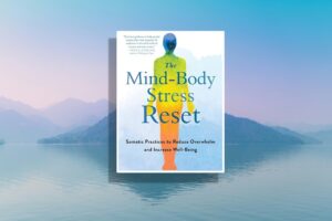 英语原版书推荐 The Mind-Body Stress Reset