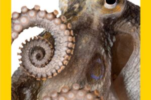 美国国家地理杂志-2024-05 National Geographic