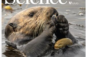 科学杂志-2024-05-17 Science