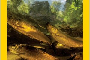 美国国家地理杂志-2024-06 National Geographic