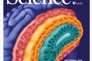 科学杂志-2024-05-24 Science