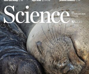 科学杂志 2025-02-14 Science