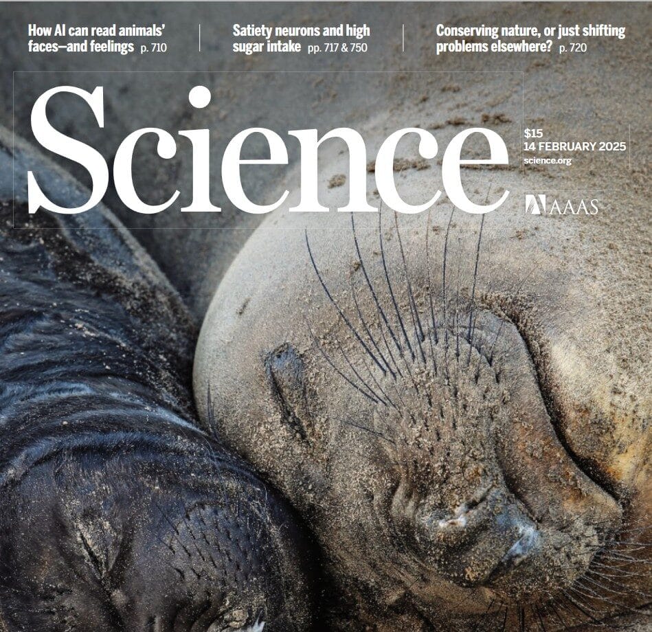 深入探索《科学》Science 杂志：全球科研的权威之声