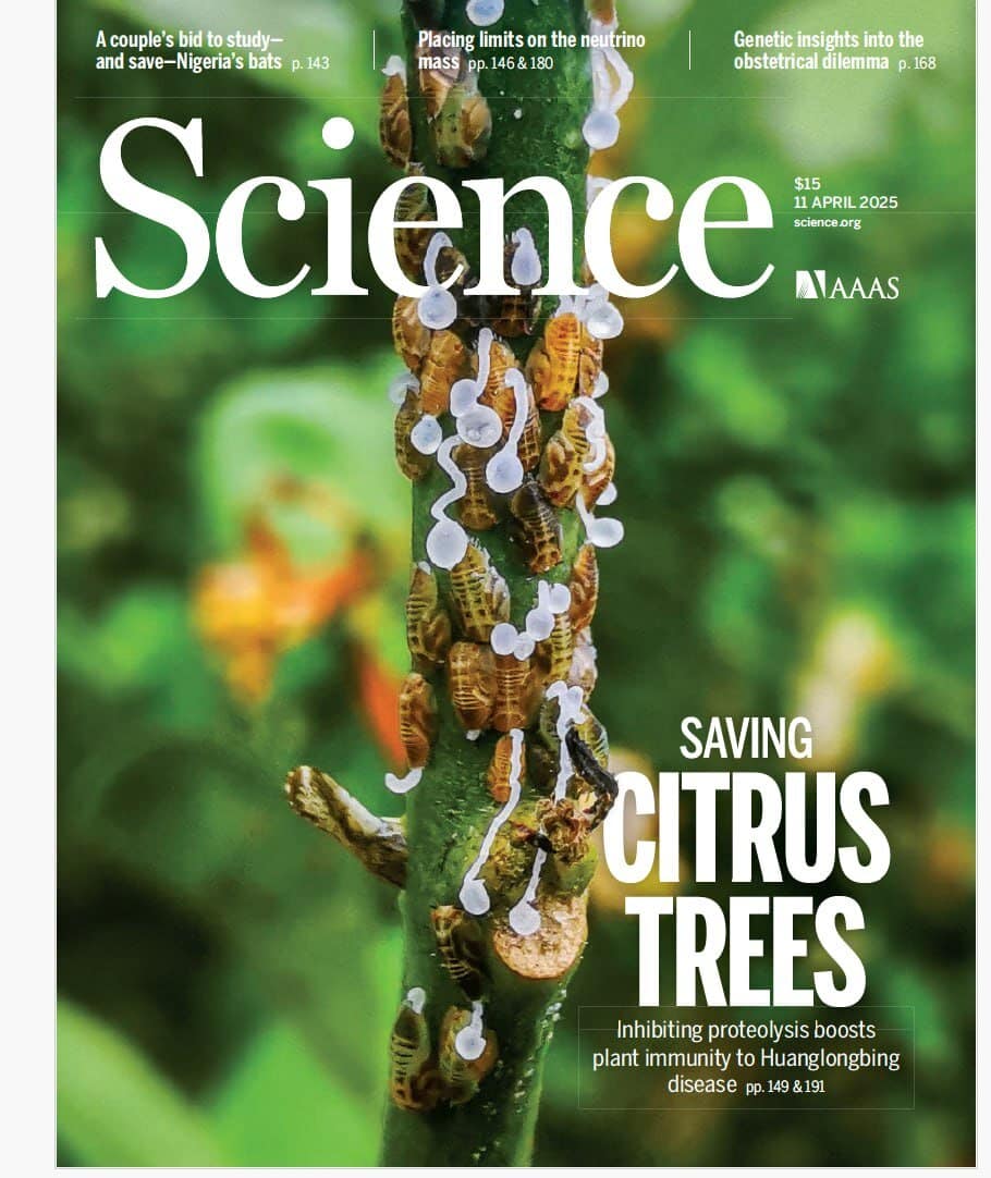 科学杂志 2025-04-11 Science 电子版pdf下载 科学杂志 2025-04-11 Science 电子版pdf下载