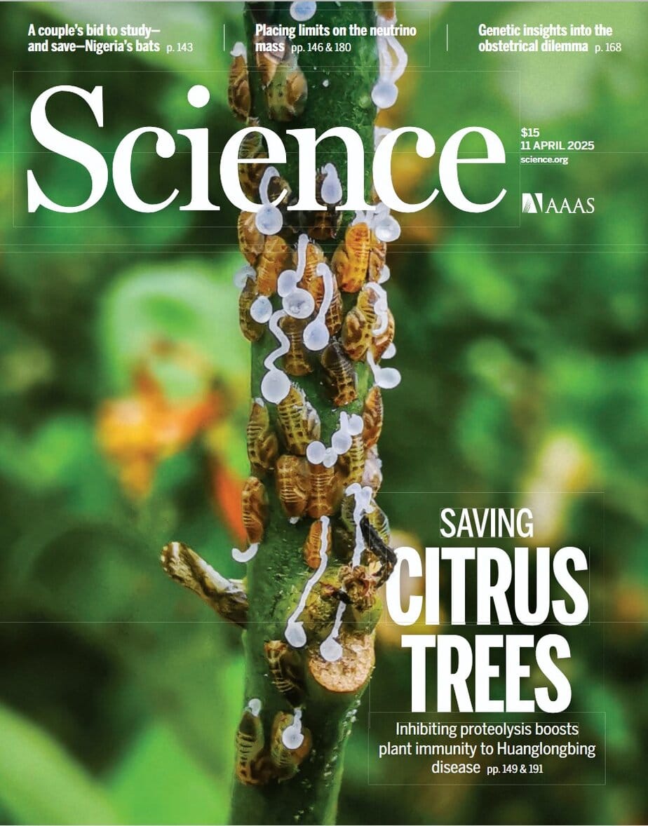 科学杂志 2025-04-11 Science 电子版pdf下载