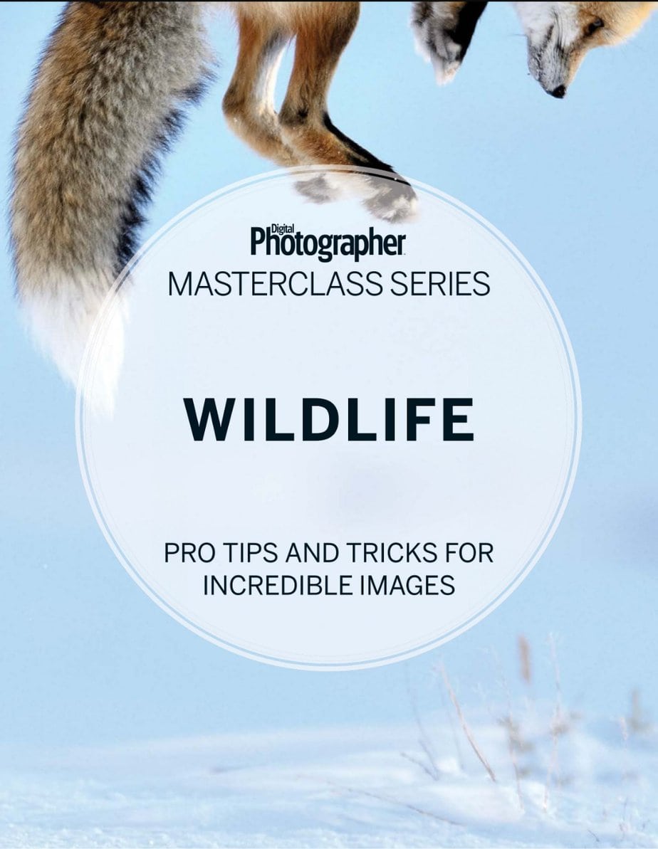 Digital Photographer Masterclass Series – Wildlife 2025 数码摄影师大师班系列 – 野生动物 2025 Digital Photographer Masterclass Series – Wildlife 2025 数码摄影师大师班系列 – 野生动物 2025