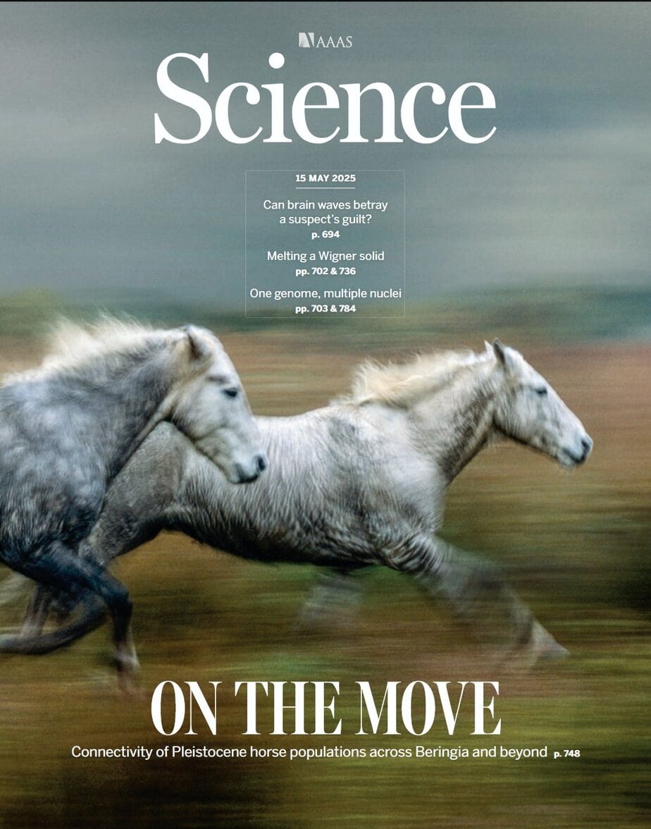 科学杂志 2025-05-15 Science 电子版pdf下载 科学杂志 2025-05-15 Science 电子版pdf下载