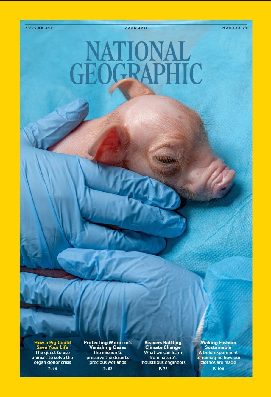 美国国家地理杂志-2025-06 National Geographic pdf 美国国家地理杂志-2025-06 National Geographic pdf