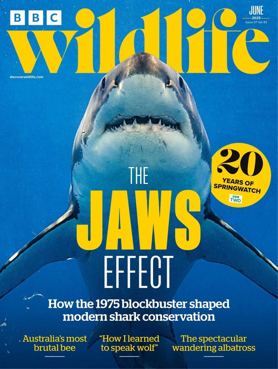 BBC Wildlife-2025-06 野生动物杂志