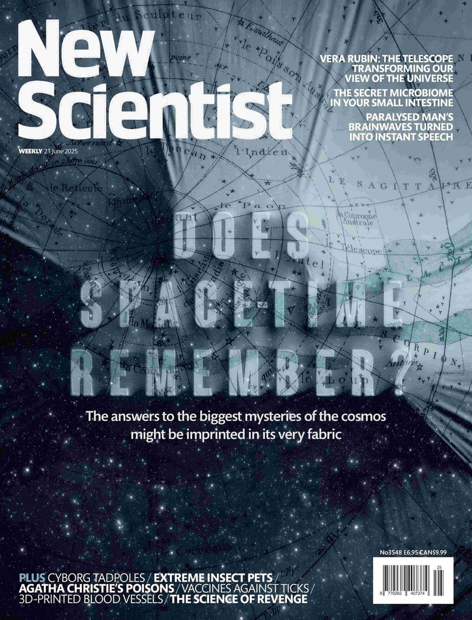 新科学人杂志 2025-06-21 New Scientist 外刊pdf下载 新科学人杂志 2025-06-21 New Scientist 外刊pdf下载