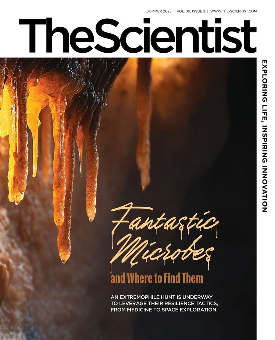 The Scientist 2025-Summer 科学家杂志 pdf 外刊下载 The Scientist 2025-Summer 科学家杂志 pdf 外刊下载