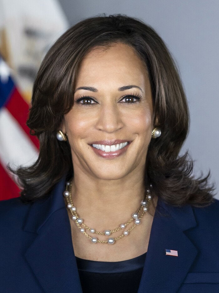 107 Days-Kamala Harris 卡马拉哈里斯 贺锦丽 英语电子书