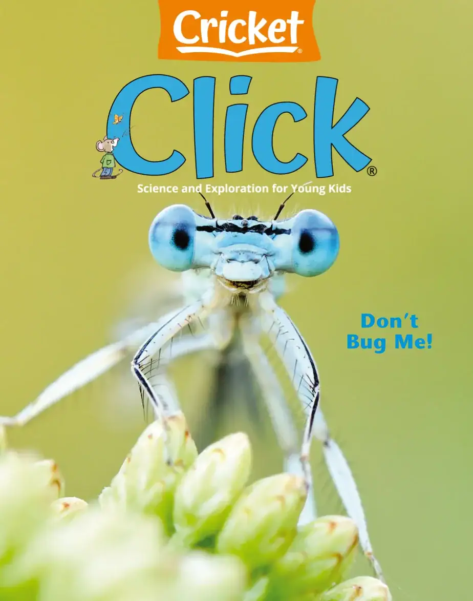 Click 2024-09 儿童读物杂志 外刊下载