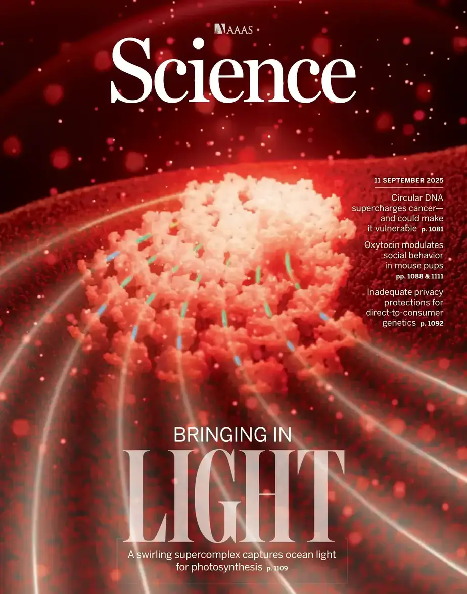 科学杂志 2025-09-11 Science 外刊下载