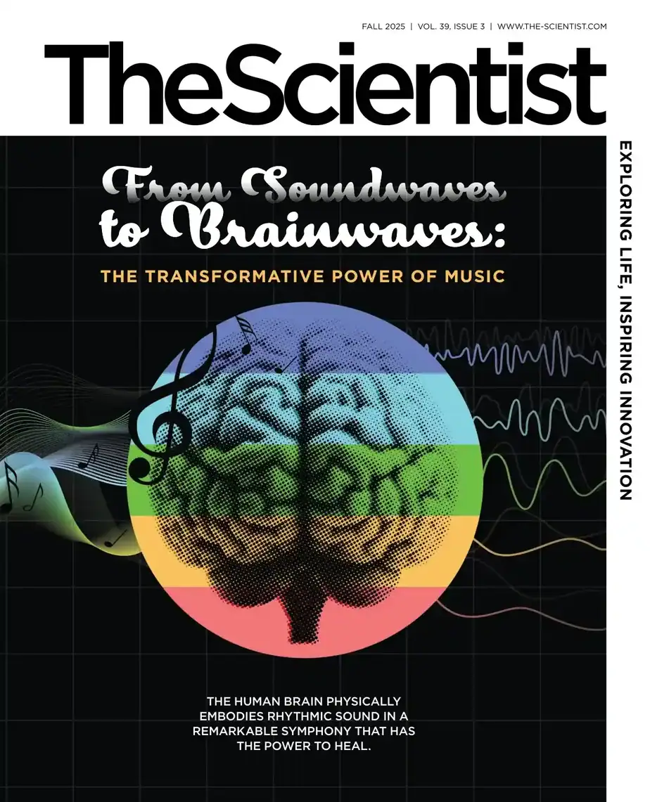 The Scientist 2025-Fall 科学家杂志 pdf 外刊下载 The Scientist 2025-Fall 科学家杂志 pdf 外刊下载