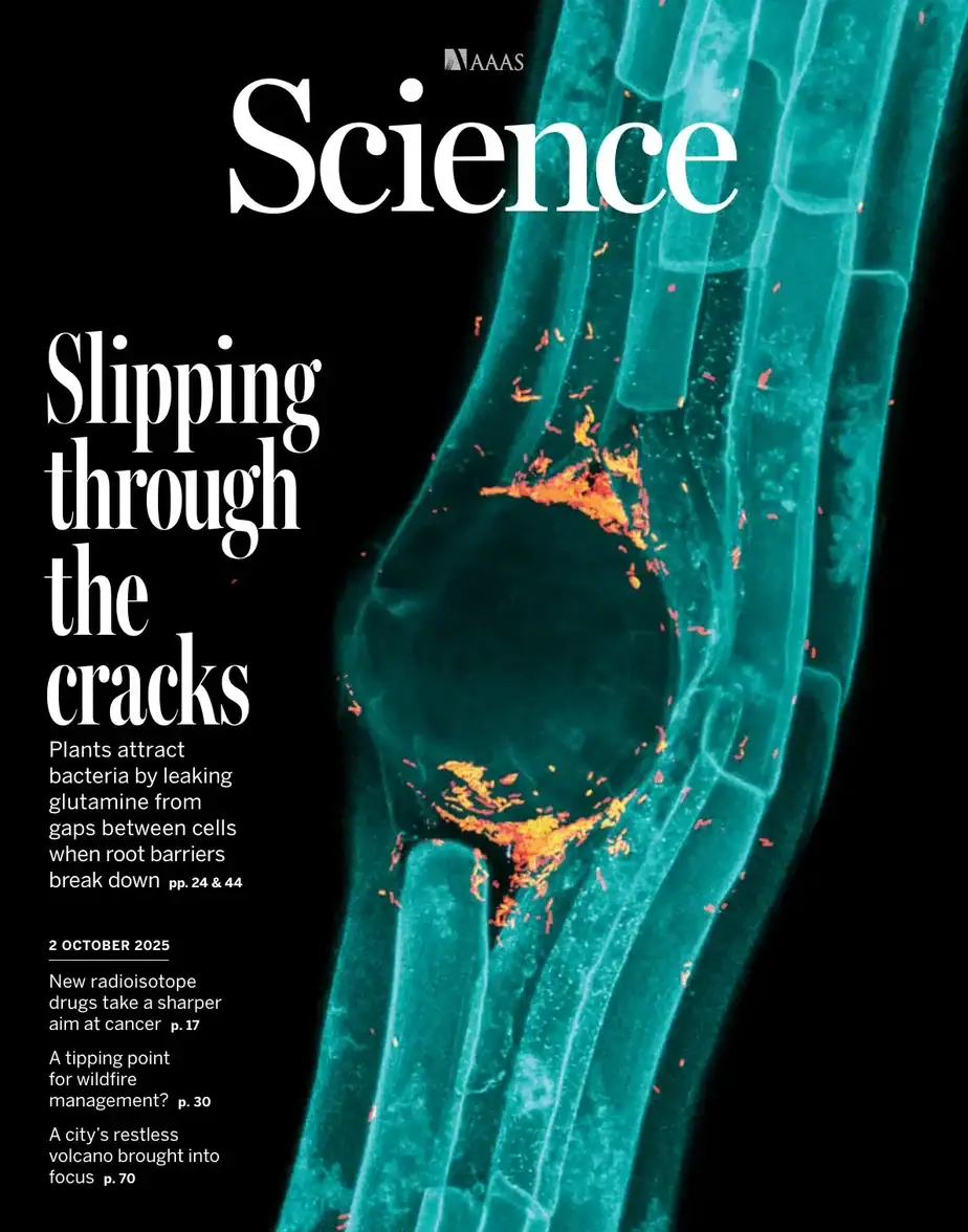 科学杂志 2025-10-02 Science 外刊下载 科学杂志 2025-10-02 Science 外刊下载