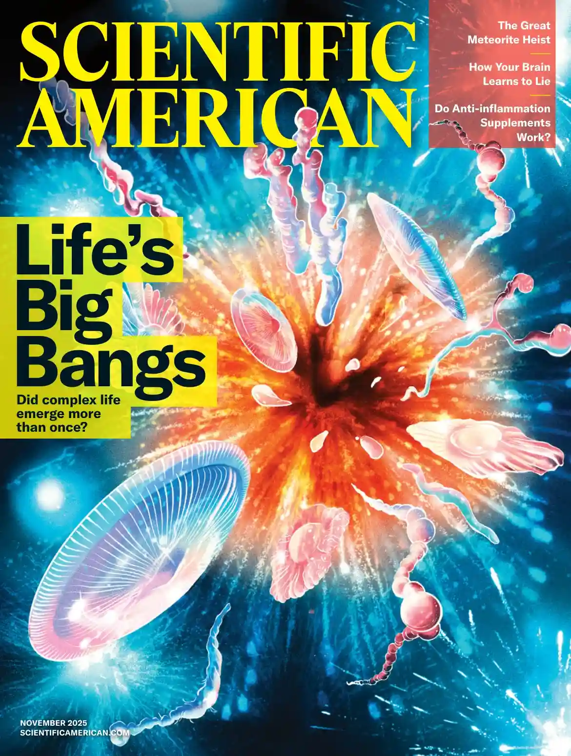 科学美国人杂志 2025-11 Scientific American 外刊下载 科学美国人杂志 2025-11 Scientific American 外刊下载