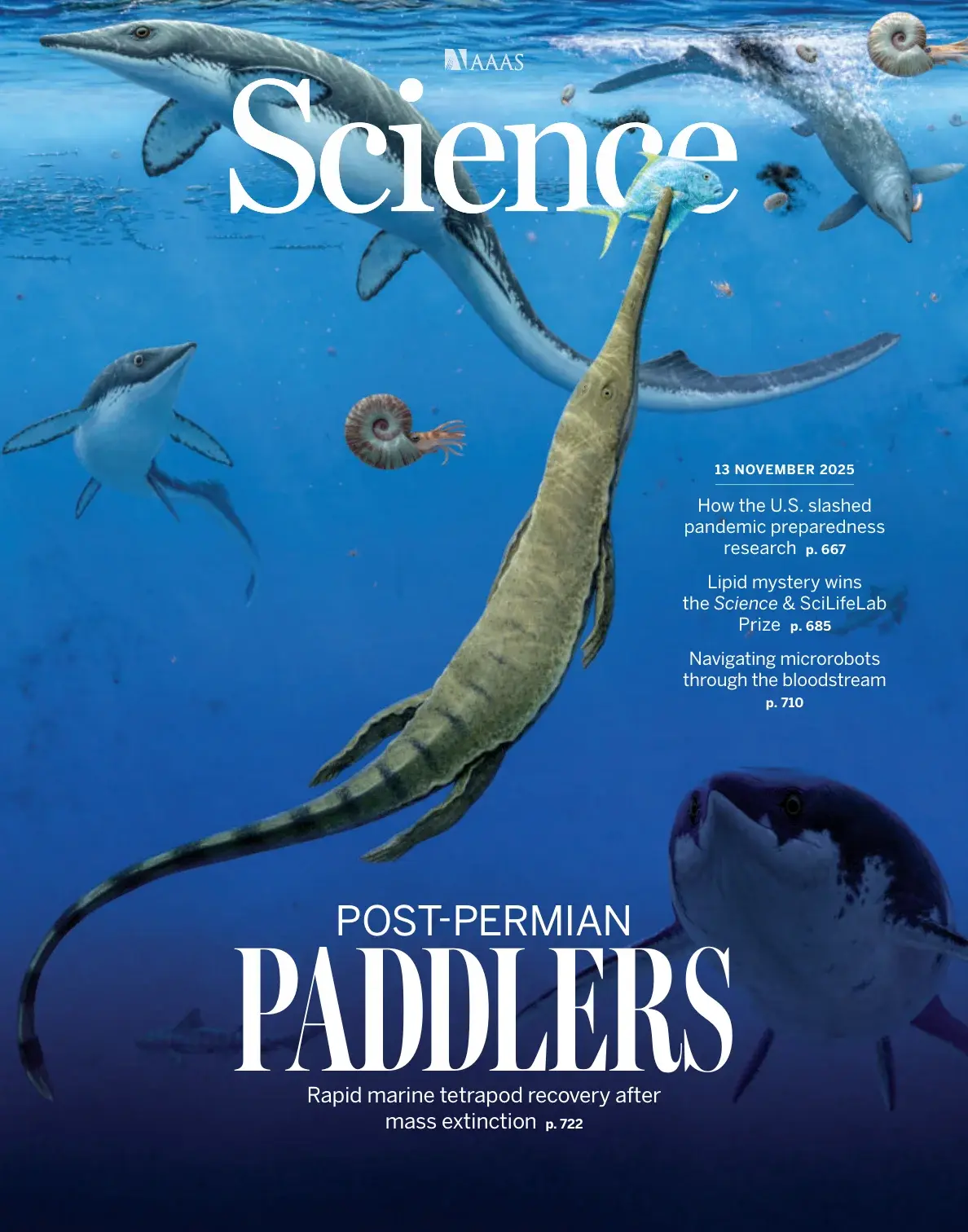 科学杂志 2025-11-13 Science 外刊下载