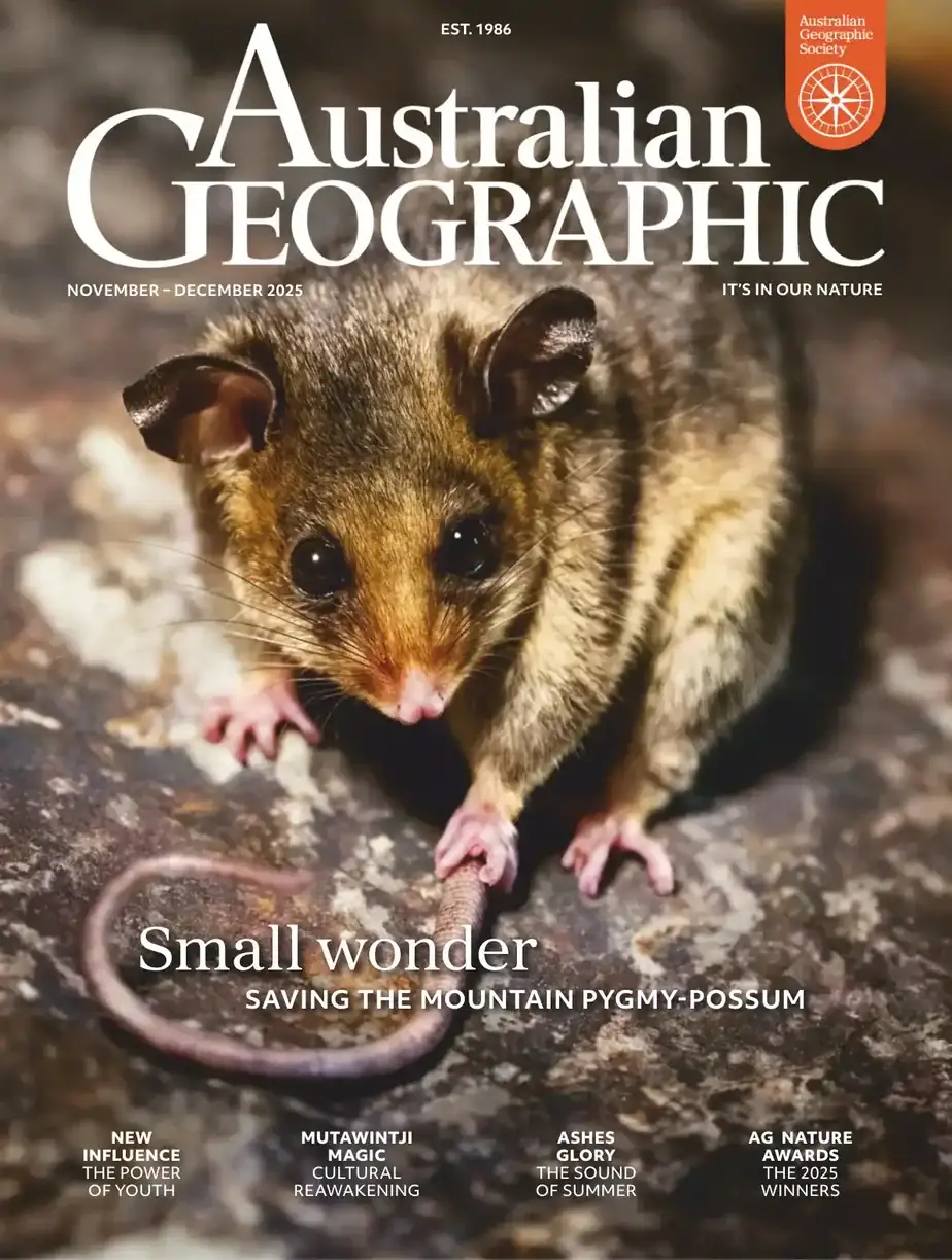 Australian Geographic 2025-11/12 澳大利亚地理杂志 外刊下载