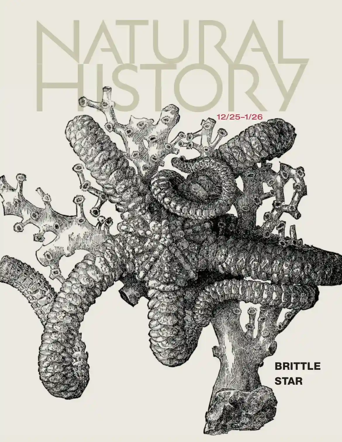 Natural History 2025-12 自然历史杂志 外刊下载