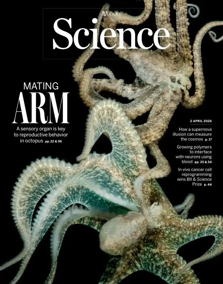 科学杂志 2026-04-02 Science