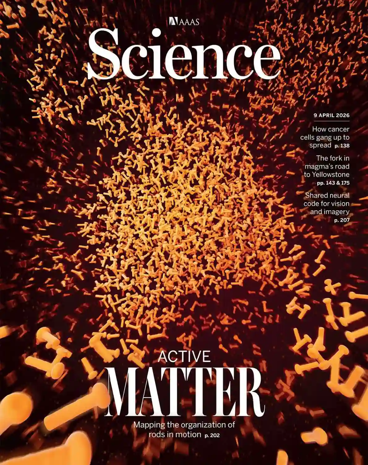 科学杂志 2026-04-09 Science
